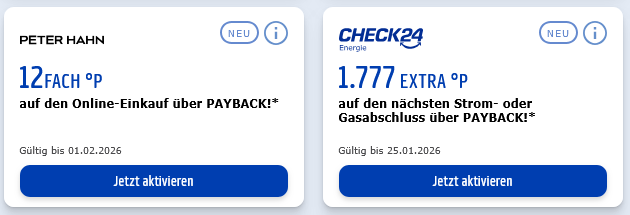 Payback Coupons Beispiel Januar 2026