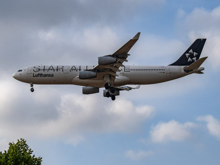 Flugzeug Lufthansa A340 Star Alliance Livery Frankfurt