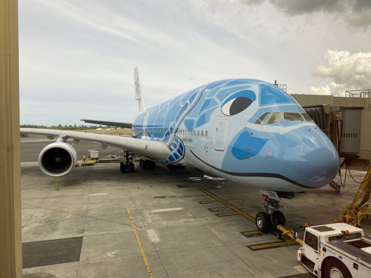 Ana Premium Economy Airbus A380 The Turtle