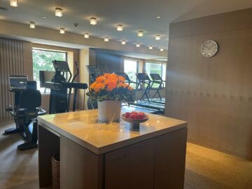 Park Hyatt Sydney Fitnessstudio 1