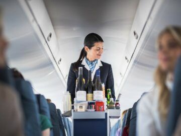 Skyalps Bordservice Copyright