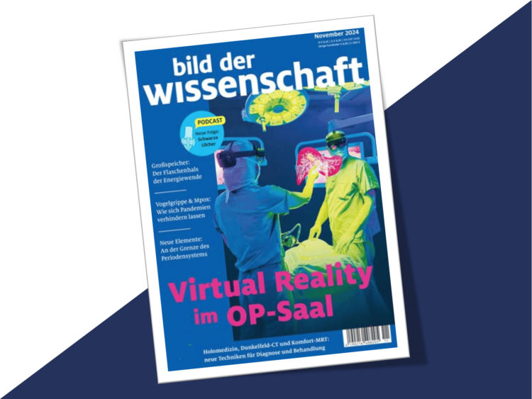 Bild Der Wissenschaft November 2024