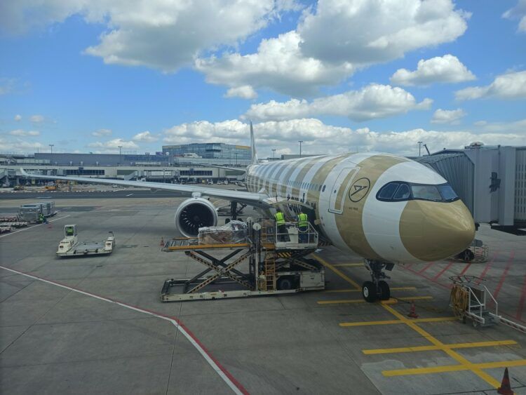 Condor Airbus A330neo D Anrl