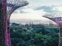 Singapur Supertree Grove Unsplash