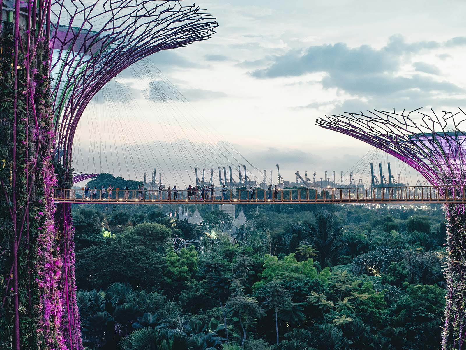 Singapur Supertree Grove Unsplash