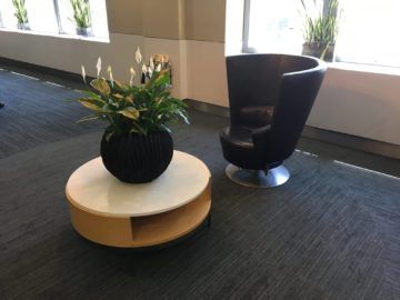 americanairlines admiralsclub londonheathrow pflanzenplatz